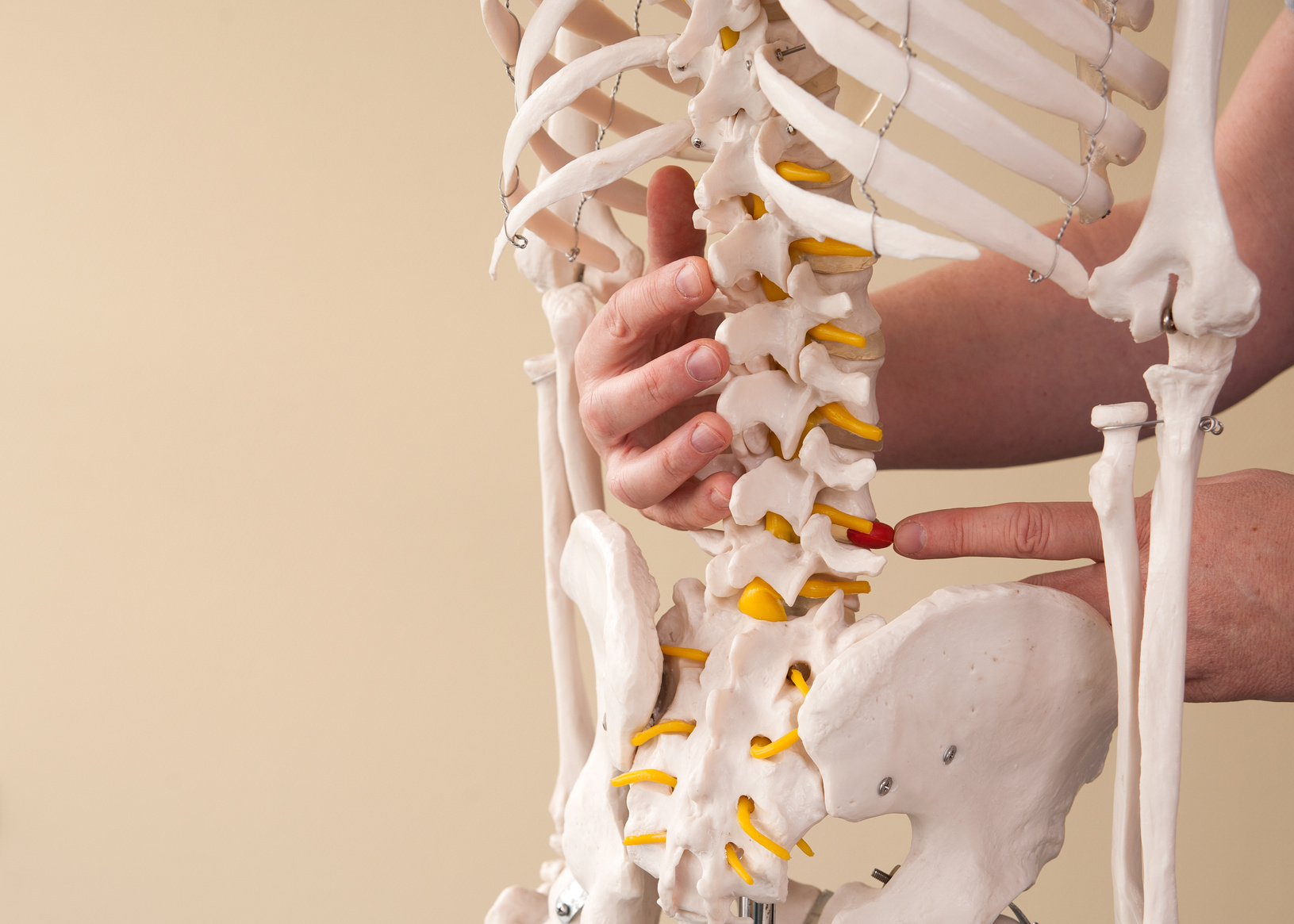 症状について 相模原の高橋接骨院で 腰痛や膝痛などの体の痛みを解消